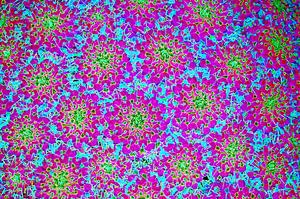 Fleurs Psychadelic