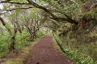 Madeira