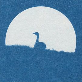 Goose on dike by Natasja Vugts