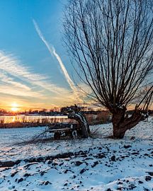 Snow on land by Wesley Kole