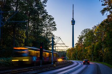 Allemagne, Stuttgart arbres décorant le paysage urbain de stuttgart à la tour de télévision sur adventure-photos