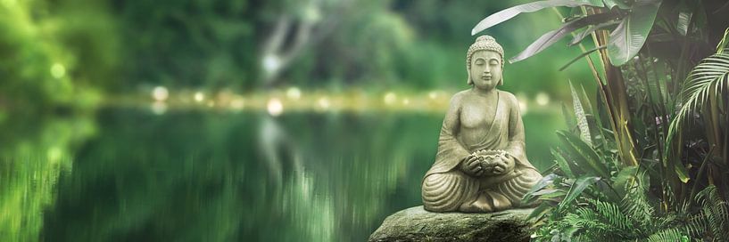 buddha statue on a stone in an idyllic lake by Dörte Bannasch
