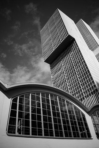 Cruise Terminal Rotterdam