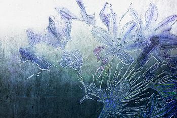 Lilien