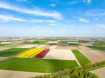 Tulpen in de polder in de lente gezien vanaf boven van Sjoerd van der Wal Fotografie