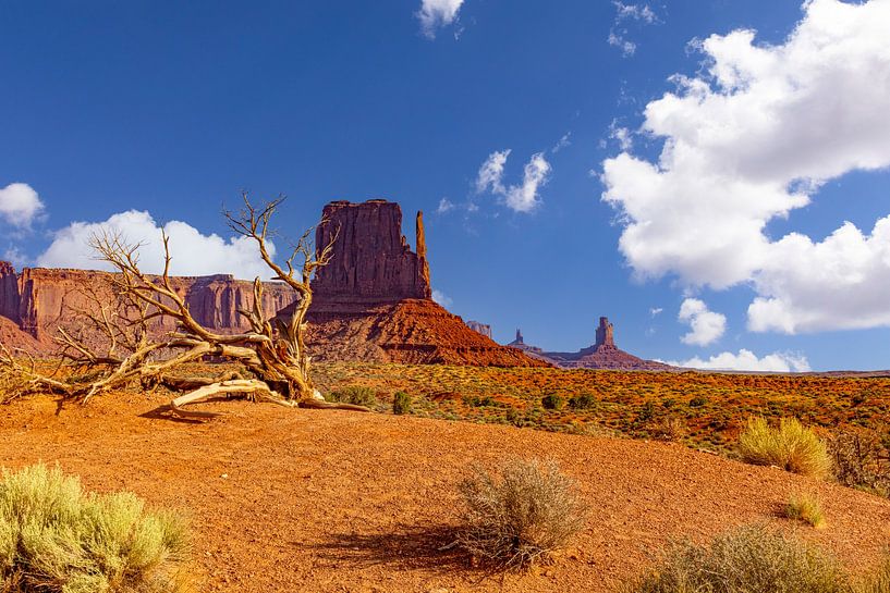 Monument Valley Tribal Park, USA by Gert Hilbink