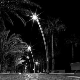 Licht in Portugal sur Elly Damen