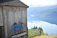 Vue sur le fjord