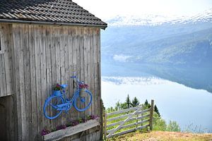 Vue sur le fjord