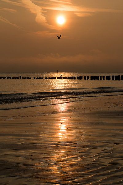 Zeeuwse zonsondergang van Mario Lere