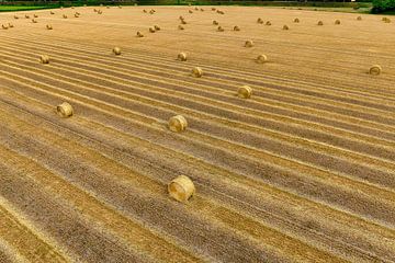 Strohballen Getreideernte Hoeksche Waard von Vivo Fotografie