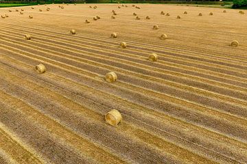 Strobalen graanoogst Hoeksche Waard van Vivo Fotografie