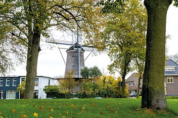 De nieuwe molen in Veenendaal van Albert Lamme
