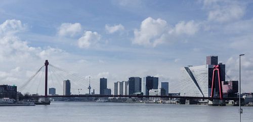 rotterdam skyline
