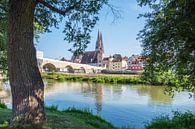 Skyline van Regensburg in de Opper-Palts van Animaflora PicsStock thumbnail