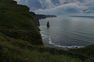 Cliffs of Moher Irland von Babetts Bildergalerie Miniaturansicht
