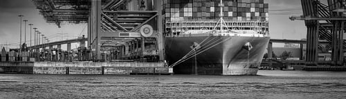 The Port of Hamburg at night in black and white