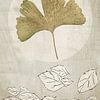 Ginkgo. Wabi-Sabi. Japandi. sur Alie Ekkelenkamp