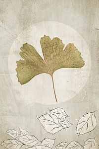 Ginkgo. Wabi-Sabi. Japandi.