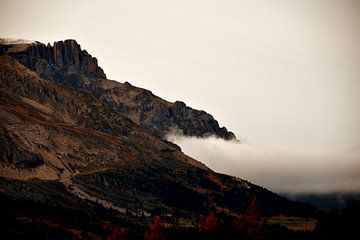 In de mist. La Joue du Loup, Franse Alpen. van Hozho Naasha