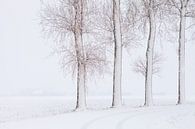 Dutch Winter Landscape by Frank Peters thumbnail