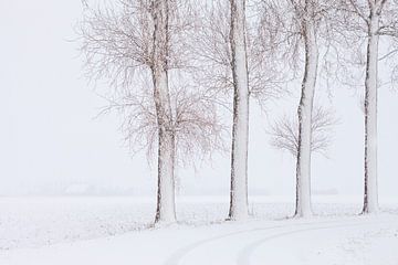 Hollands Landschap Winter van Frank Peters