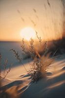Beau coucher de soleil