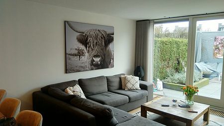 Schottischer Highlander