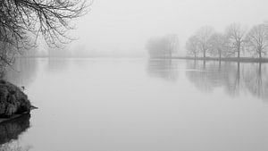 Maas im Nebel