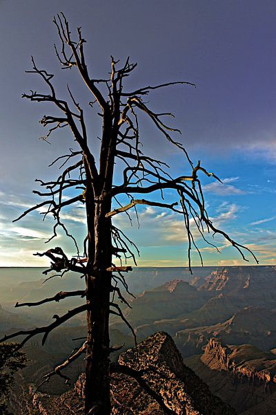 Grand Canyon par Johnny van der Leelie