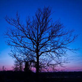 Blue hour (tree) von Eriks Photoshop by Erik Heuver