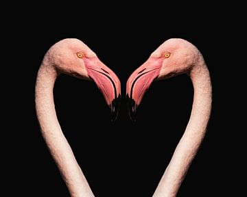Flamingo Love van Gaby Fotografie