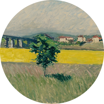 Weide bij de brug van Argenteuil, Gustave Caillebotte