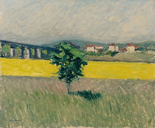 Weide bij de brug van Argenteuil, Gustave Caillebotte
