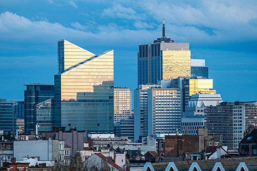 Stadtansicht bei Sonnenuntergang über Brüssel, Belgien von Werner Lerooy