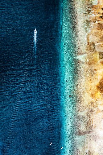 Aerial Summer - Ascend