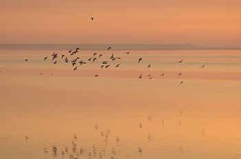 Zonsopkomst