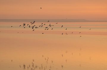 Zonsopkomst von Marian Steenbergen
