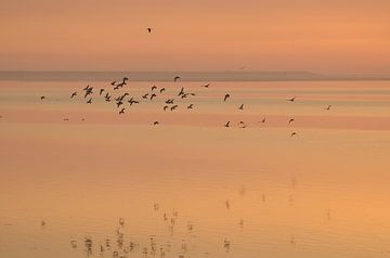 Zonsopkomst by Marian Steenbergen