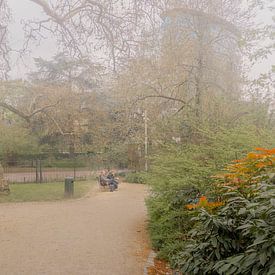 Une tranquillité brumeuse à Bruxelles sur Geert Van Baelen