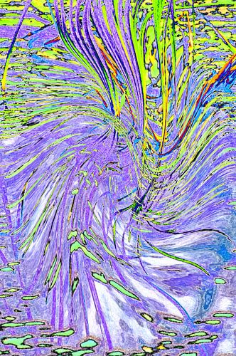 Kleurrijk riet (drieluik)