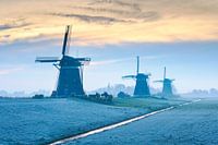 Die drei Windmühlen von Stompwijk an einem schönen Wintermorgen