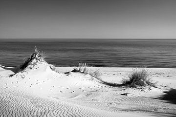 Les dunes et la mer en noir et blanc II