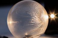 Bevroren zeepbel van Charlotte Bakker thumbnail