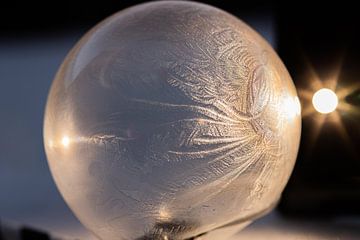 Bevroren zeepbel van Charlotte Bakker