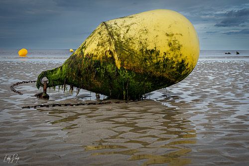 Bouée marine échouée