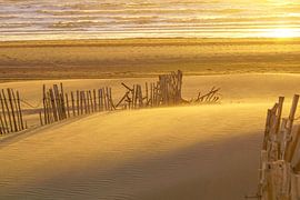 Strandleven! by Dirk van Egmond