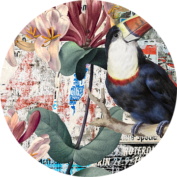 Red Billed Toucan – Street Art van Marja van den Hurk