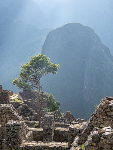 Perle des Incas