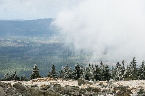 Landschaft mit Schnee auf dem Brocken im Harz